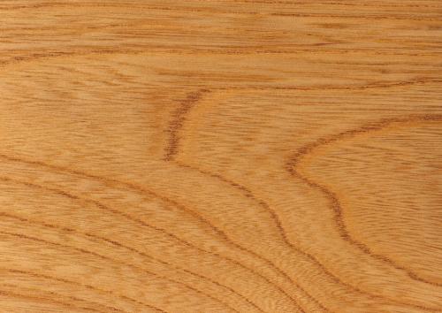 廣東香蕉视频APP黄下载